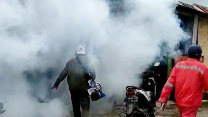 40 Kasus DBD Tercatat Dinas Kesehatan Situbondo di Awal Tahun 2024, Ini Cara Cegahnya