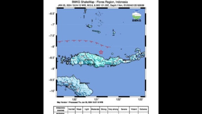 BMKG Sebut Gempa M5,6 di Laut Flores Dipicu Sesar Naik Flores