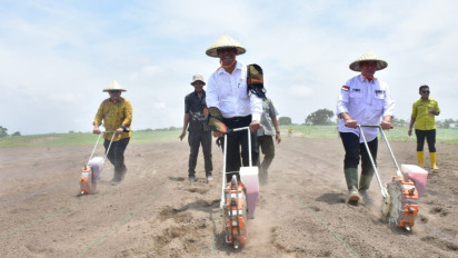 Perkuat Persediaan Nasional 2024, Mentan Amran Tanam Jagung di Sumbawa