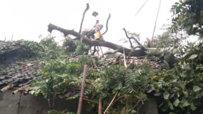 Hujan dan Angin Kencang, Satu Warga Sleman Tewas Tertimpa Bangunan Joglo yang Roboh