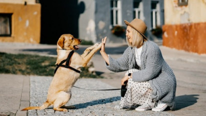 Bolehkah Seorang Muslim Memelihara Anjing? Ini Penjelasan dari Sudut Pandang Fiqih