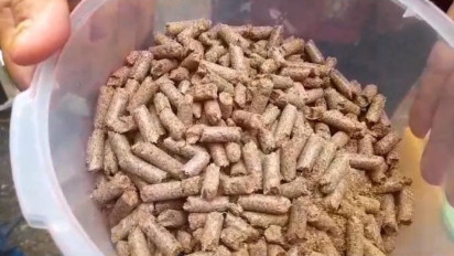 Limbah Kelapa Sawit Menjadi EBT Diburu Perusahaan Asing