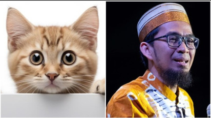 Walau Kucing Wajahnya Lucu, Tingkahnya Menggemaskan, Ustaz Adi Hidayat Bilang Begini soal Pelihara Hewan ini di Rumah