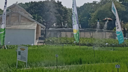 Tingkatkan Produktivitas Pertanian, Jatim Dukung Tambahan Subsidi Pupuk 2024