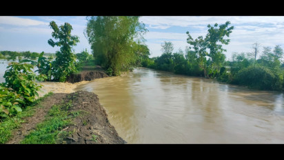 Diguyur Hujan Deras, 2 Titik Tanggul Sungai di Lamongan Jebol, Ratusan Hektar Lahan Pertanian Terancam Tenggelam