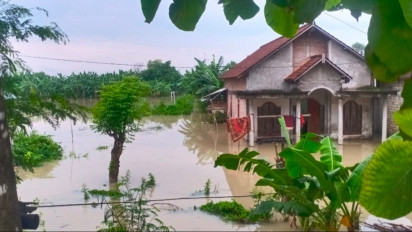 Bengawan Solo di Lamongan Siaga Merah, Sejumlah Titik Tanggul di Bantaran Sungai Terancam