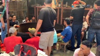 Polisi Gerebek Gelanggang Judi Ayam, Ternyata Milik Oknum Pajabat Ditpam BP Batam 