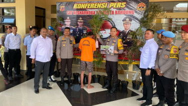 Seorang Kakek di Bandung Nekat Tanam 20 Batang Pohon Ganja di Halaman Rumah