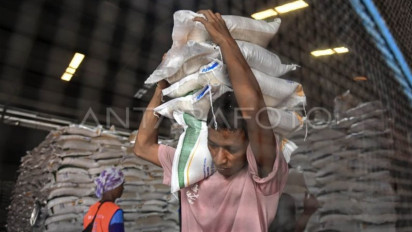 Pemerintah Setop Sementara Bansos Beras hingga April 2025, Ini Alasannya