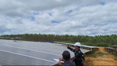 Rencana Investasi Dana Hingga 10 Miliar Dolar AS di IKN, OIKN Sebut Investor Timur Tengah Berminat di Sektor EBT