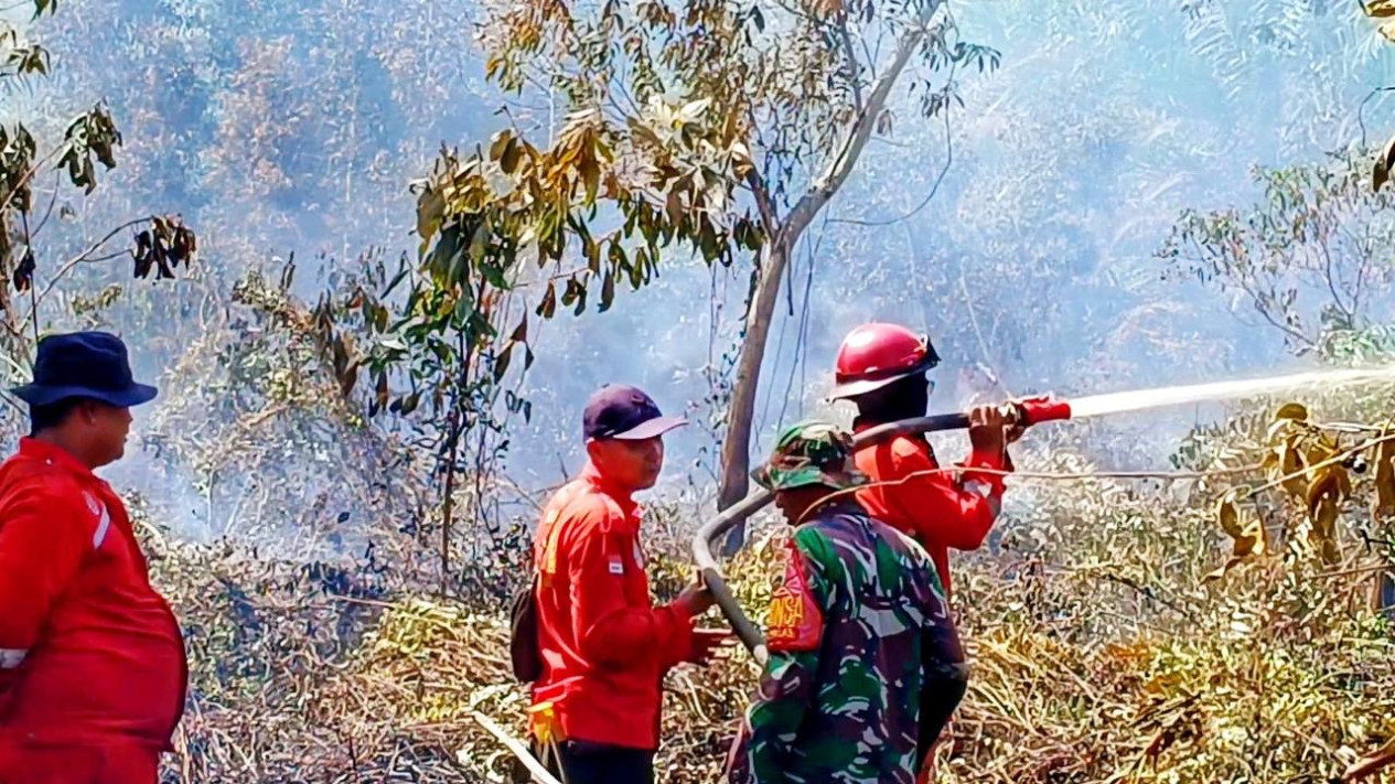 Membuka Lahan dengan Membakar, 6,5 Hektare Lahan di Dumai Terbakar
            - galeri foto