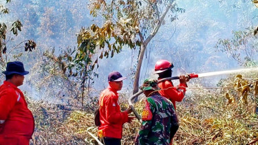 Membuka Lahan dengan Membakar, 6,5 Hektare Lahan di Dumai Terbakar