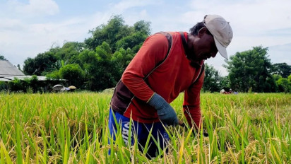 Pemkab Situbondo Berikan Kemudahan Petani Tebus Pupuk Subsidi