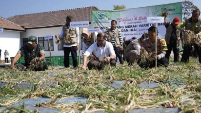 Dinilai Mampu Kendalikan Inflasi, Pemkot Batu Kembangkan Kawasan Bawang Merah di Desa Torongrejo
