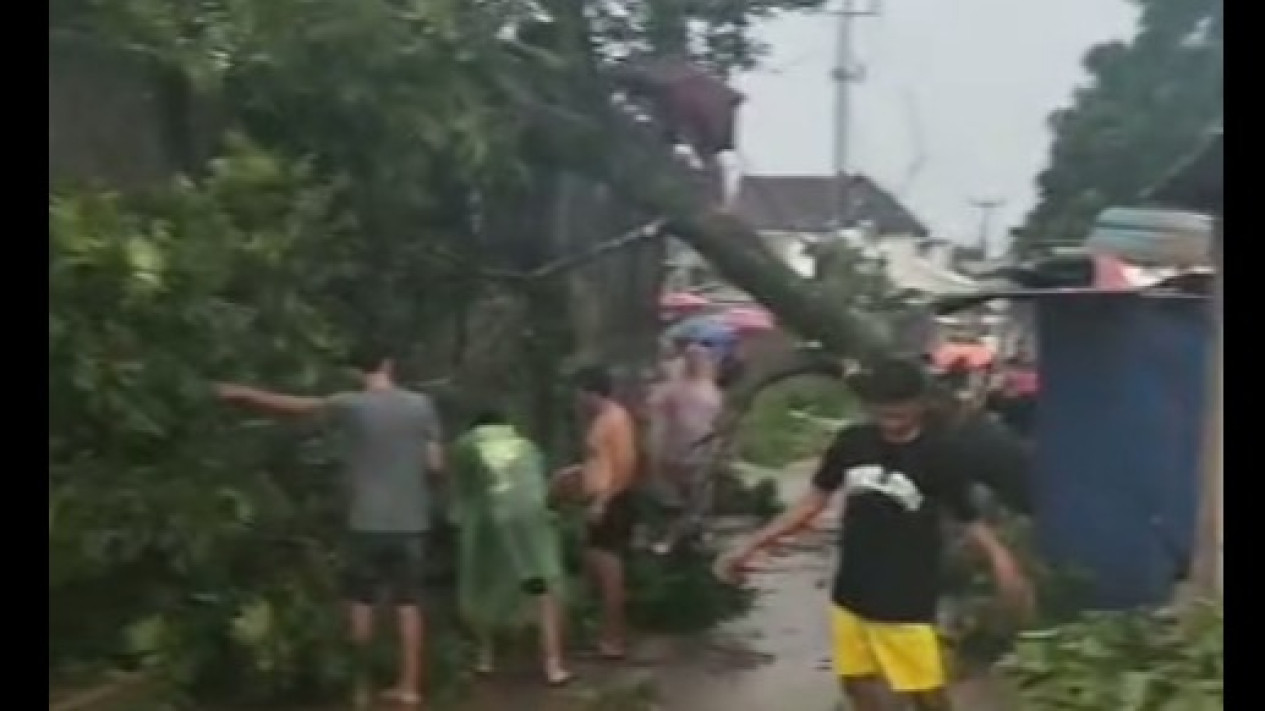 Usai Rancaekek dan Sumedang, Kini Giliran Majalaya Bandung di Hantam Angin Kencang, Sejumlah Pohon Besar dan Rumah Rusak 
            - galeri foto