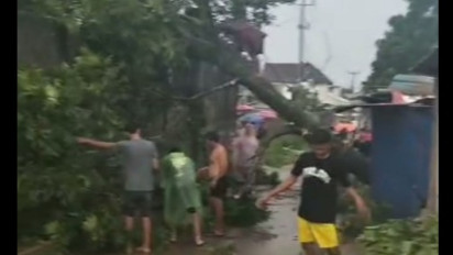 Usai Rancaekek dan Sumedang, Kini Giliran Majalaya Bandung di Hantam Angin Kencang, Sejumlah Pohon Besar dan Rumah Rusak 