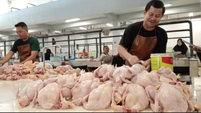 Selama Sepekan Terakhir Harga Daging Ayam di Gorontalo Merangkak Naik