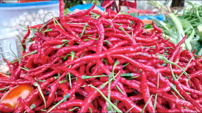 Harga Cabai Merah di Pasar Nauli Kota Sibolga Melonjak hingga Rp 70.000 Per Kilogram