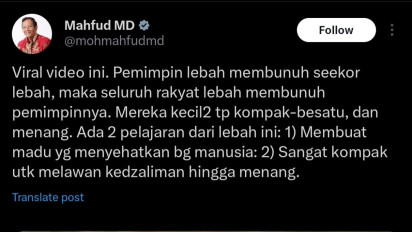 Mahfud MD Singgung Pemimpin Zalim Lewat Video Viral Kumpulan Lebah, Netizen: Sekelas Prof Mahfud Ngasih Informasi Misleading Gini?