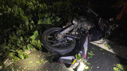 Nahas, Pemotor Tewas Tertimpa Pohon Tumbang di Ruas Jalan Nasional Trenggalek – Ponorogo