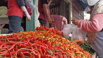 Harga Cabai Rawit Meroket di Kapuas Hulu, Menyentuh Rp100 Ribu per kilogramnya