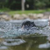 Seorang Pria Tewas Akibat Tercebur ke Kali di Tangerang, Korban Sempat Meminta Tolong