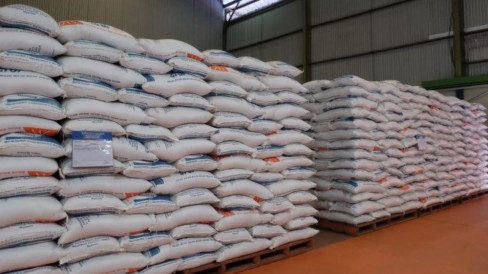 Bulog: Sebanyak Tambahan 300 ribu Ton Beras Datang dari Thailand dan ...