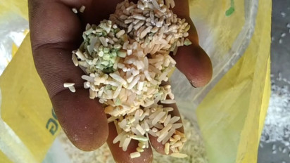 Warga Mandailing Natal Kecewa, Pemerintah Terkait Menjual Beras Busuk di Pasar Murah