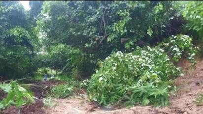 Banjir dan Longsor Landa Kabupaten Padang Pariaman