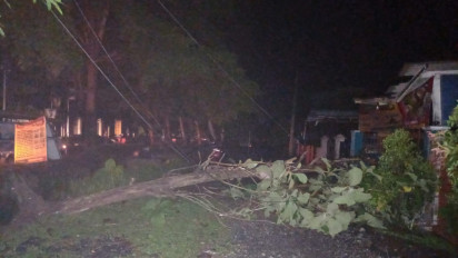 Pohon Jati Tumbang Timpa Kabel, 81 Gardu Listrik di Kota Banjar Padam