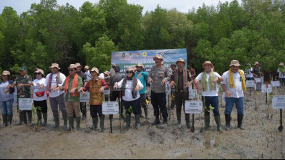 Dukung Upaya Mitigasi Perubahan Iklim, Pertamina Rehabilitasi Mangrove di Nusa Tenggara Timur