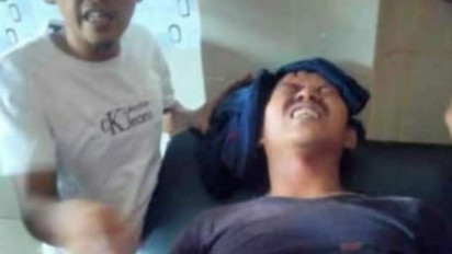 Harimau Sumatera Kembali Serang Warga di Lampung Barat