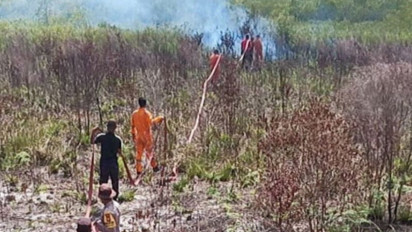 Memasuki Musim Kemarau, Sekitar 20 Hektare Lahan di Natuna Kepri Terbakar 