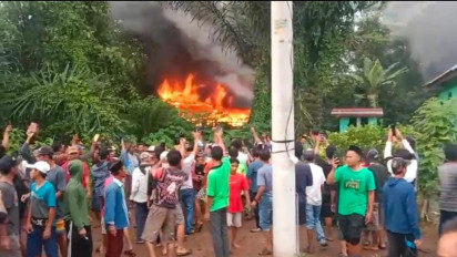 Kantor TNBBS di Lampung Barat Dibakar Warga, Buntut Teror Harimau Serang Manusia