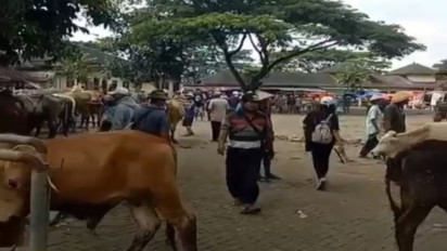 Bukan Antraks, DPKH Ungkap Kematian Belasan Ternak di Gunungkidul Akibat Sianida