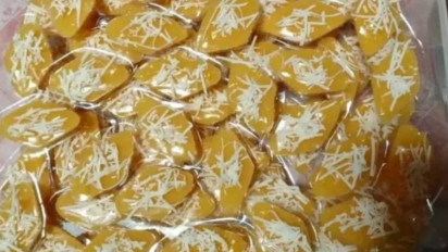 Berburu Herkules Hingga ke Ambon