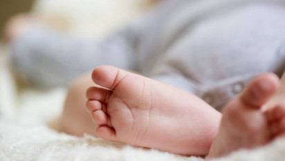 Kisah Memilukan, Pohon Kelapa Merenggut Nyawa Boca 6 Tahun di Kupang