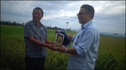 Menjadi Pemicu Inflasi, Panen Padi di Wajo Diharapkan Dapat Tekan Harga Beras