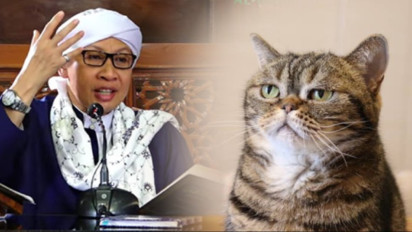 Tanpa Sengaja Menabrak Kucing Saat Berkendara, Akan Mendapat Sial atau Musibah? Buya Yahya Jelaskan Ternyata…