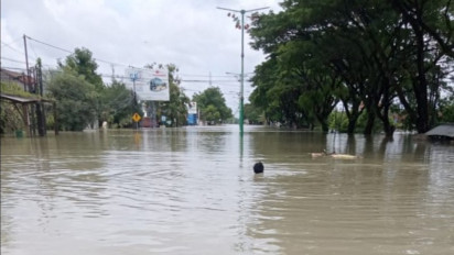 Tanggul Jebol Lagi, Karanganyar Demak Diterjang Banjir, BPBD Jateng : Warga Diungsikan ke PHI Gajah
