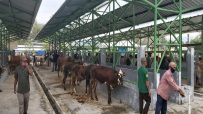 Dinas Pertanian Kulon Progo Awasi Perkembangan Wabah Antraks di Girimulyo