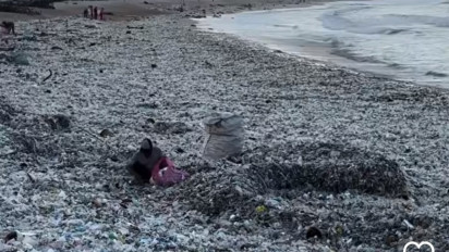 Sampah Kiriman Berceceran di Pesisir Pantai di Badung, Bali