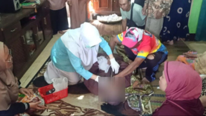 Seorang Kakek Tewas Diserang Monyet Liar, Dua Orang Lainnya Luka-luka