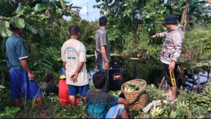 Bocah Perempuan di Buton Tengah Hilang Diterkam Buaya Saat Pulang dari Panen Pisang di Kebun