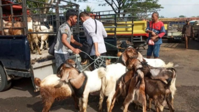 Dinkes Gunungkidul Sebut Tiga Warga Positif Antraks Sudah Membaik