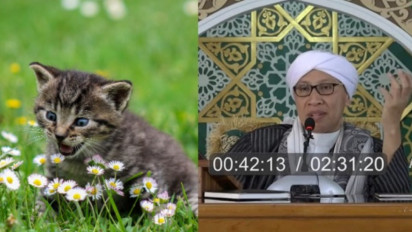 Tak Sengaja Menabrak Kucing saat Berkendara Pasti Bakal Dapat Sial atau Musibah? Buya Yahya Beri Penjelasan, Ternyata...