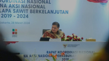 Lanjutkan Hilirisasi Industri Kelapa Sawit, Menko Perekonomian Airlangga Beberkan Strategi Pemerintah