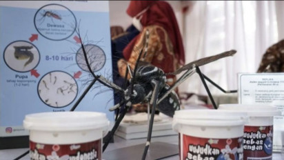 Blak-blakan Menkes Ungkap Penolak Nyamuk Wolbachia Sama Dengan Penolak Vaksin COIVD-19: Jangan Termakan Hoaks!