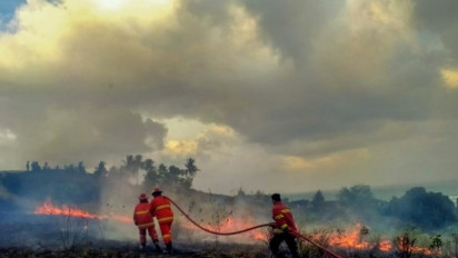 Titik Hotspot Karhutla di Kalimantan Barat Turun