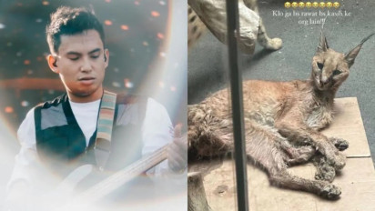 Disebut Terlantarkan Kucing Carcal Hingga Meninggal, Mantan Suami Rachel Venya, Okin: Bukan Hak Saya Lagi